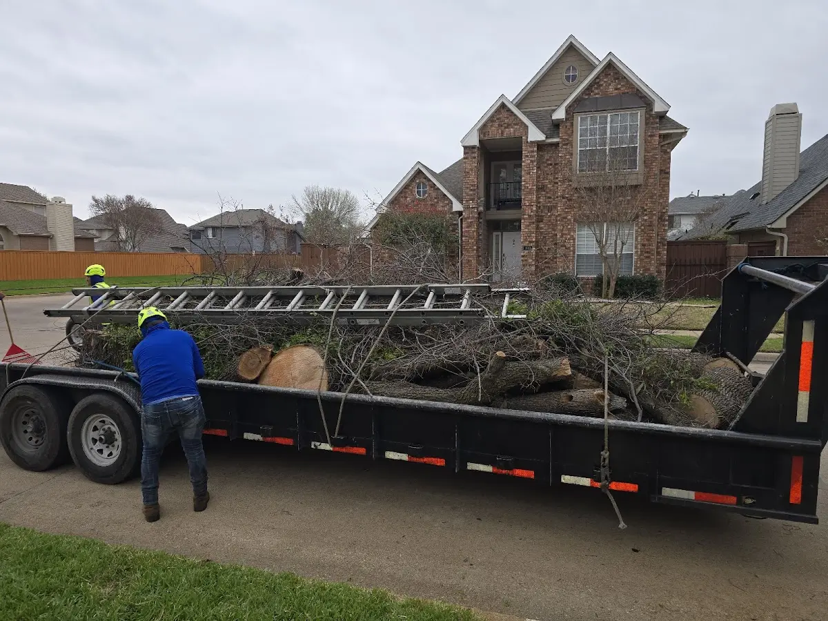 Expert Tree Fertilization with proper safety equipment in Alpha